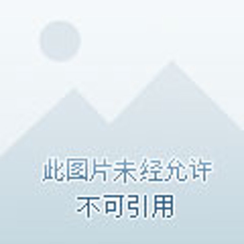 在线课程：教育新浪潮下的学习新体验